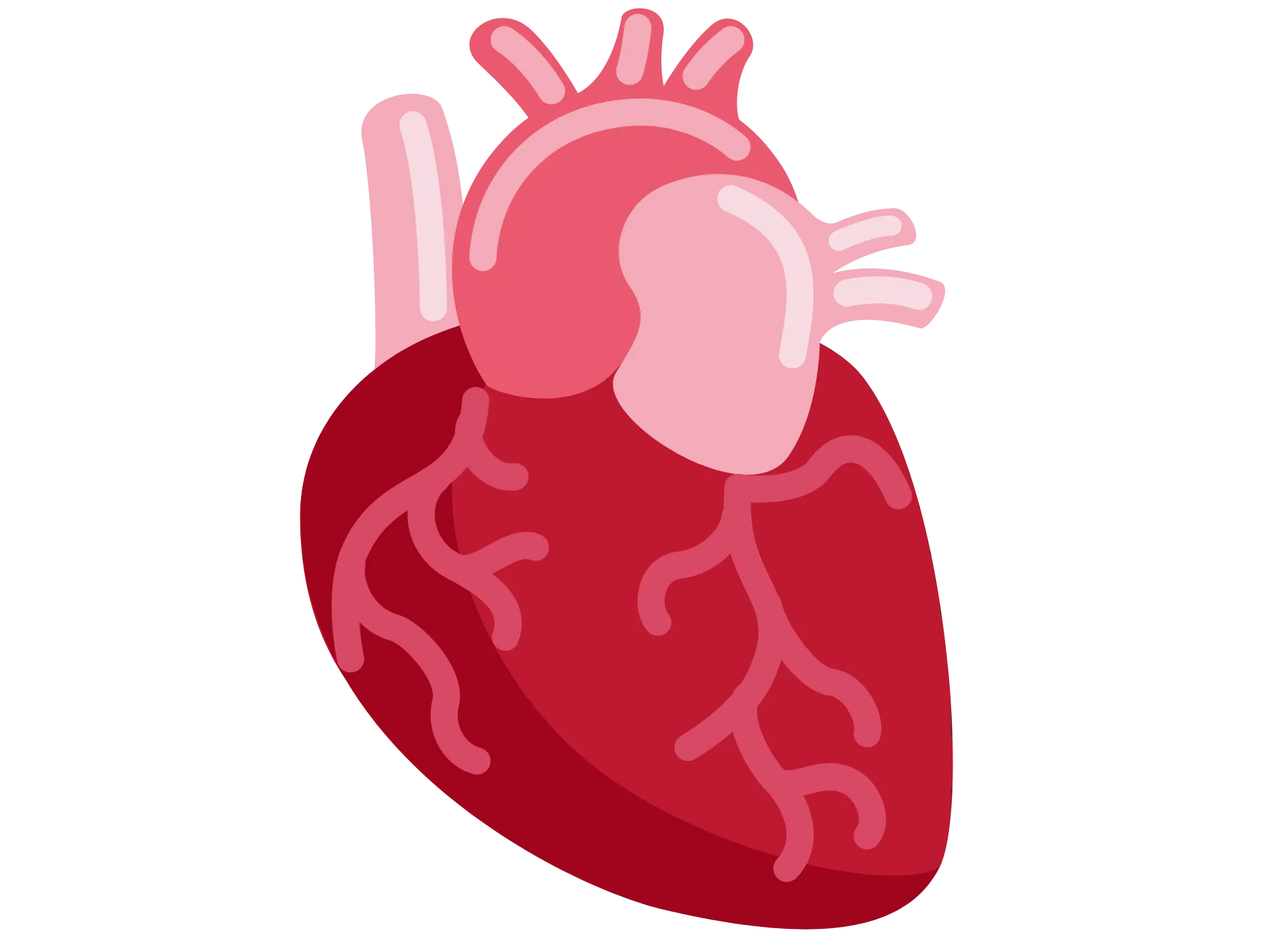 Heart